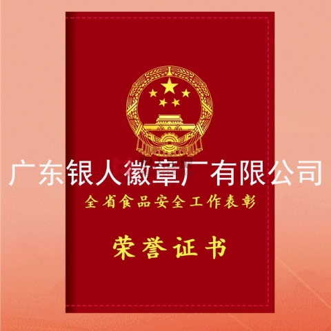 河南省政府表彰奖励荣誉证书定制