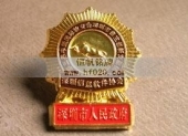 深圳市政府表彰先进徽章,先进胸章