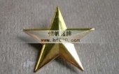 金属镀金五角星徽章,五角星胸标,五角星胸针